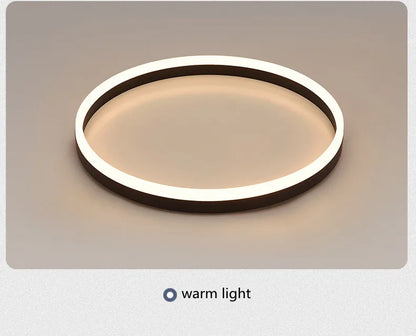 Modern Bedroom led Ceiling Lights Round Remote Control Dimmable led Living Room Ceiling Light White/Black Indoor Ceiling Lights