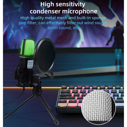 Computer Professional Gaming Condenser Microphone Karaoke Mic PC Laptop USB Wired Live Streaming Podcast Studio Mike Kit Gamer