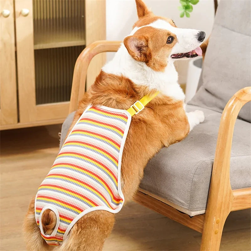 Adjustable French Bulldog Pet Shoulder Strap Physiological Pants Washable Female Dog Underwear Safety Trousers Mascotas Shorts