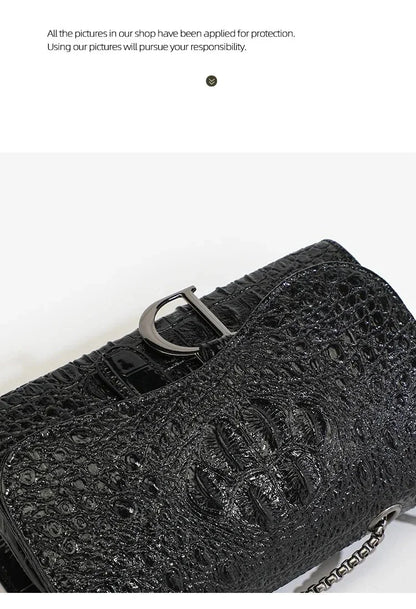 Luxury Women's Handbag Crossbody Chains Shoulder Messenger Brand  Bags Female  Hand Bags Sequined Casual Purses and Handbags