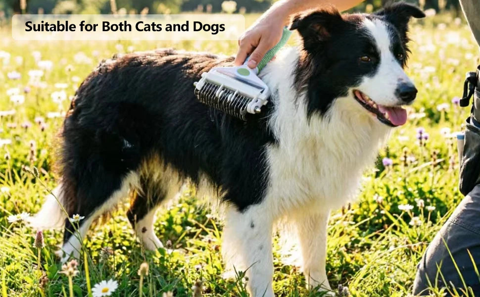Pet Deshedding Brush 3 in 1 Cat Dog Hair Remover Puppy Kitten Comb with Stainless Steel Teeth Dogs Grooming Shedding Supplies