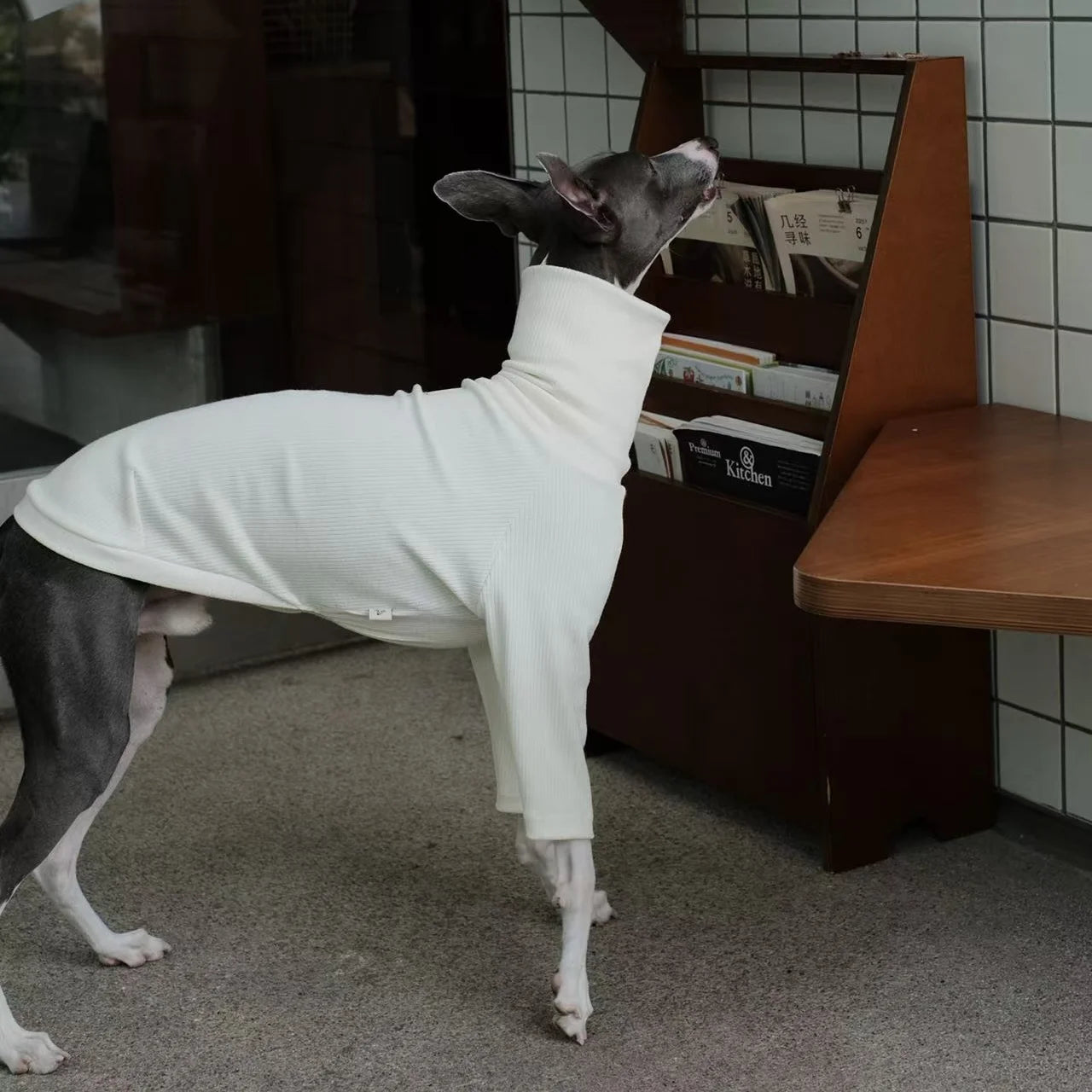 Spring Clothing for Italy Greyhound  Autumn Soft High-Neck Cotton Grey T-shirt for Whippet Winter Long Sleeved Pajamas for Dogs