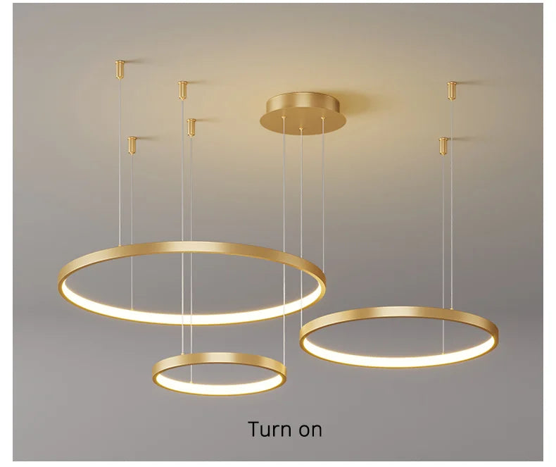 Living Room Ring Pendant Lights Acrylic Led Restaurant Chandelier Modern Minimalist Art Creative Personality Net Red Custom Lamp