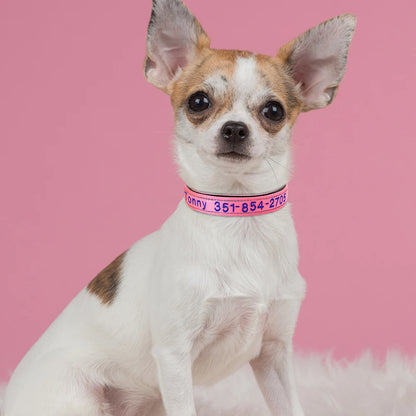 Embroidered Nylon Dog Collar Free Custom Dogs Collar Reflective Pet ID Name Phone No. For Small Medium Large Dogs Pug Adjustable