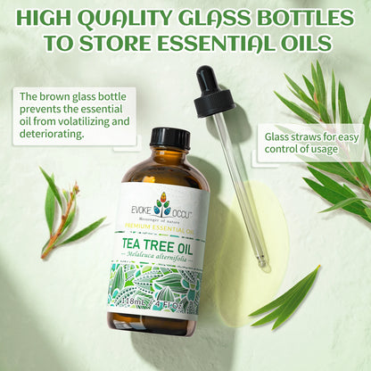 EVOKE OCCU Tea tree Essential Oils, 118ML/4 Fl.Oz. Premium Plant Oil for Hair&Nail Care Diffuser Soap Making, Add to Shampoo