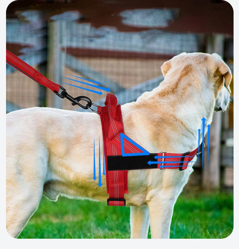 Personalized Reflective No Pull Harness for Small Medium Dog Washable Explosion-proof Comfort Dog Harnesses Pechera Para Perro