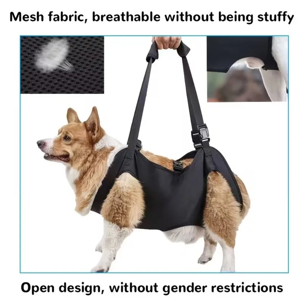 dogs accessAdjustable Dog Lift Harness Comfortable Help with Carrying Pet Backpacks Assisted Rehabilitation Dog Body Support Bag
