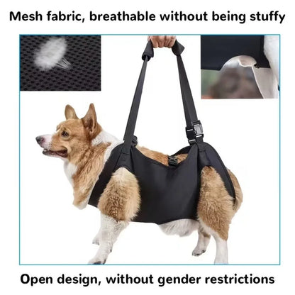 dogs accessAdjustable Dog Lift Harness Comfortable Help with Carrying Pet Backpacks Assisted Rehabilitation Dog Body Support Bag