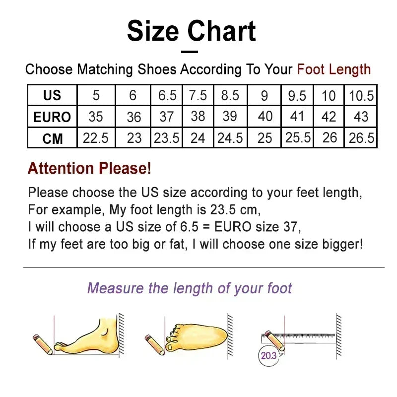 Luxury Designer Summer Women Sandals Fashion Pointed Toe Singbacks Shoes Ladies Elegant High Heel Stripper Sandalias