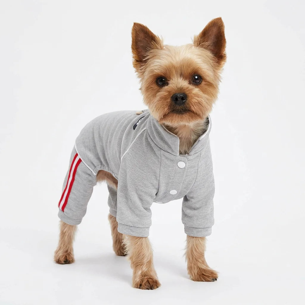 Breathable Cotton Dog Jumpsuit, Striped Puppy Tracksuit with D-Ring, Soft Pet Pajamas for Small Dogs 2026 New Chihuahua Apparel