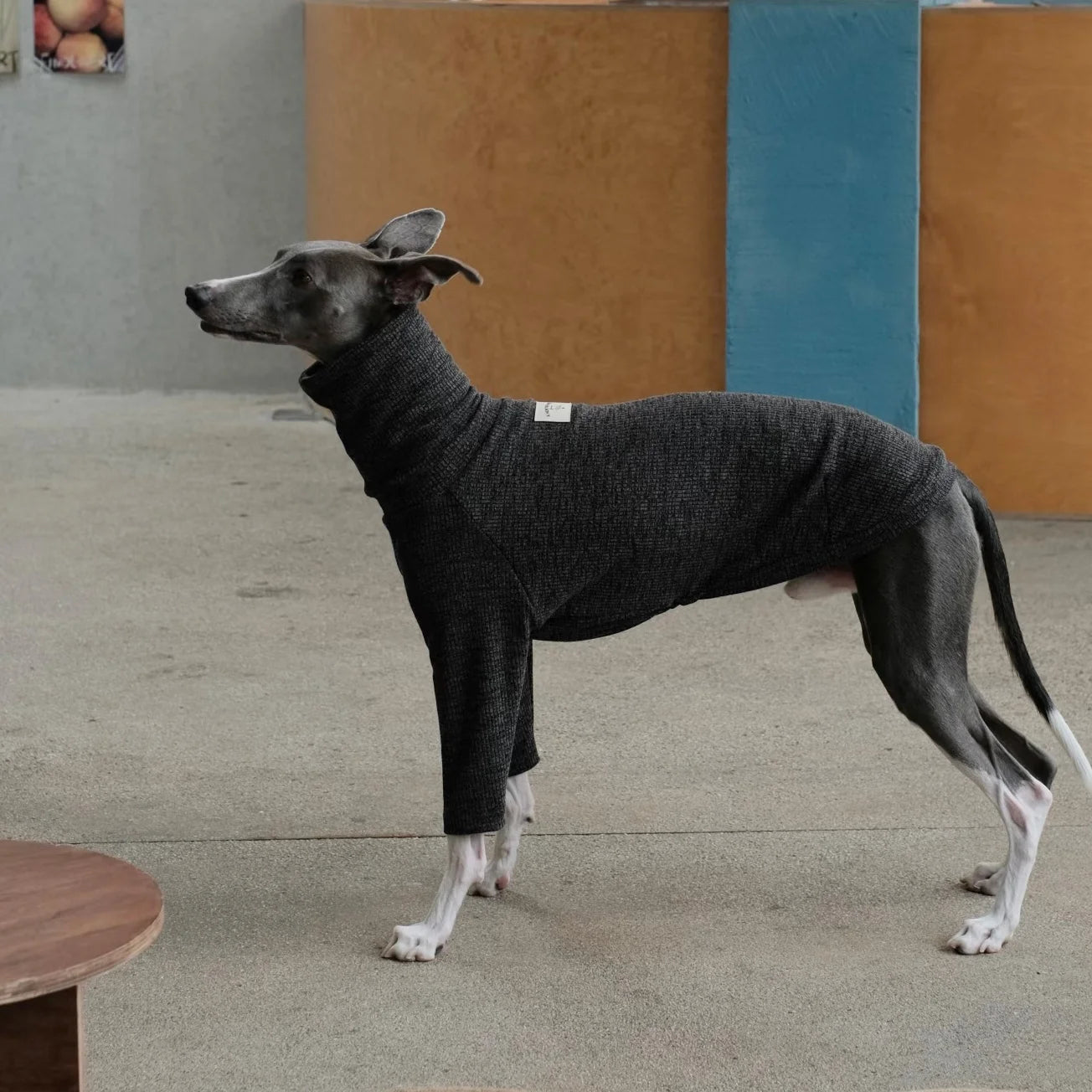 Spring Clothing for Italy Greyhound  Autumn Soft High-Neck Cotton Grey T-shirt for Whippet Winter Long Sleeved Pajamas for Dogs