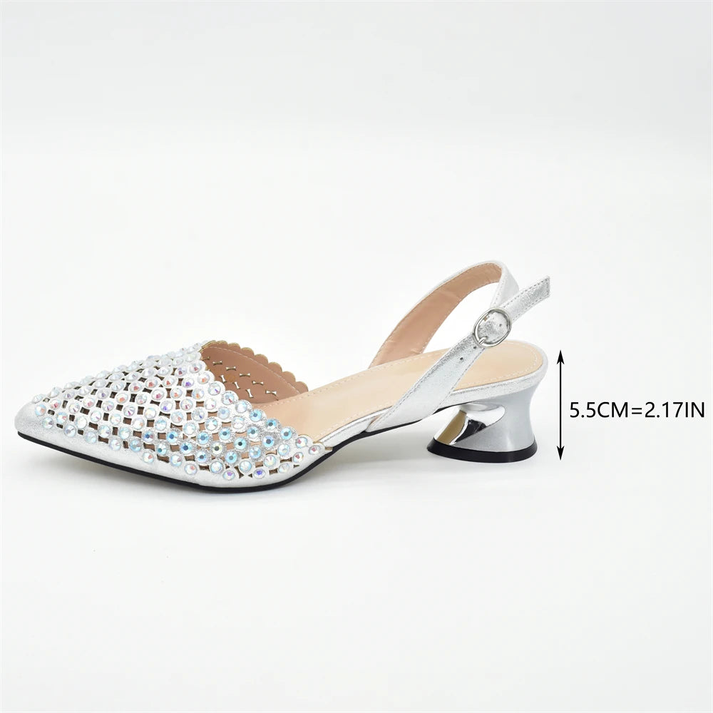 Nigeria Shoe and Bag Wedding Shoes Bride Nigerian Ladies Wedding Shoes Luxury Italian Style Heels African Women Party Pumps