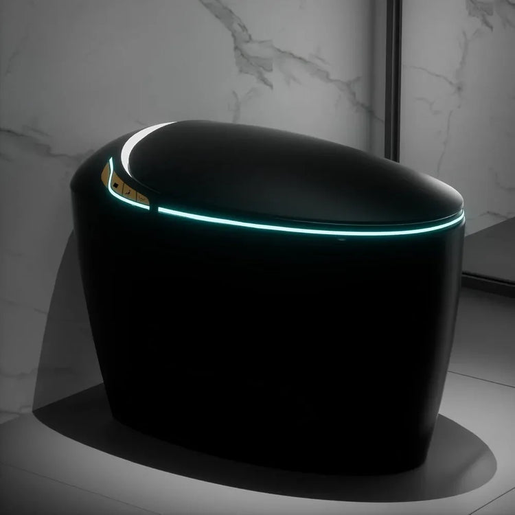 Luxury Smart Toilet With Bidet Seat, Elongated Egg Shaped Modern Design, Auto Open Auto Flush, Adjusted Heated Seat, Warm Water