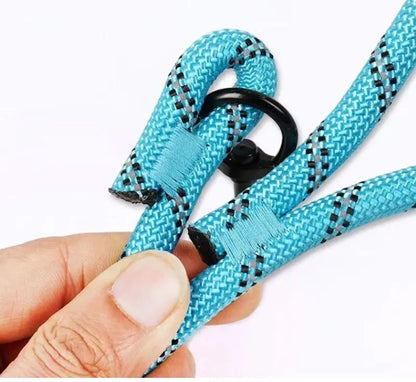 3M Pet Reflective Nylon Tow Rope Non Slip Foam Handle Pet Adjustable Towing Ropes Large MiddleSmall Dogs Outdoors Pet Supplies