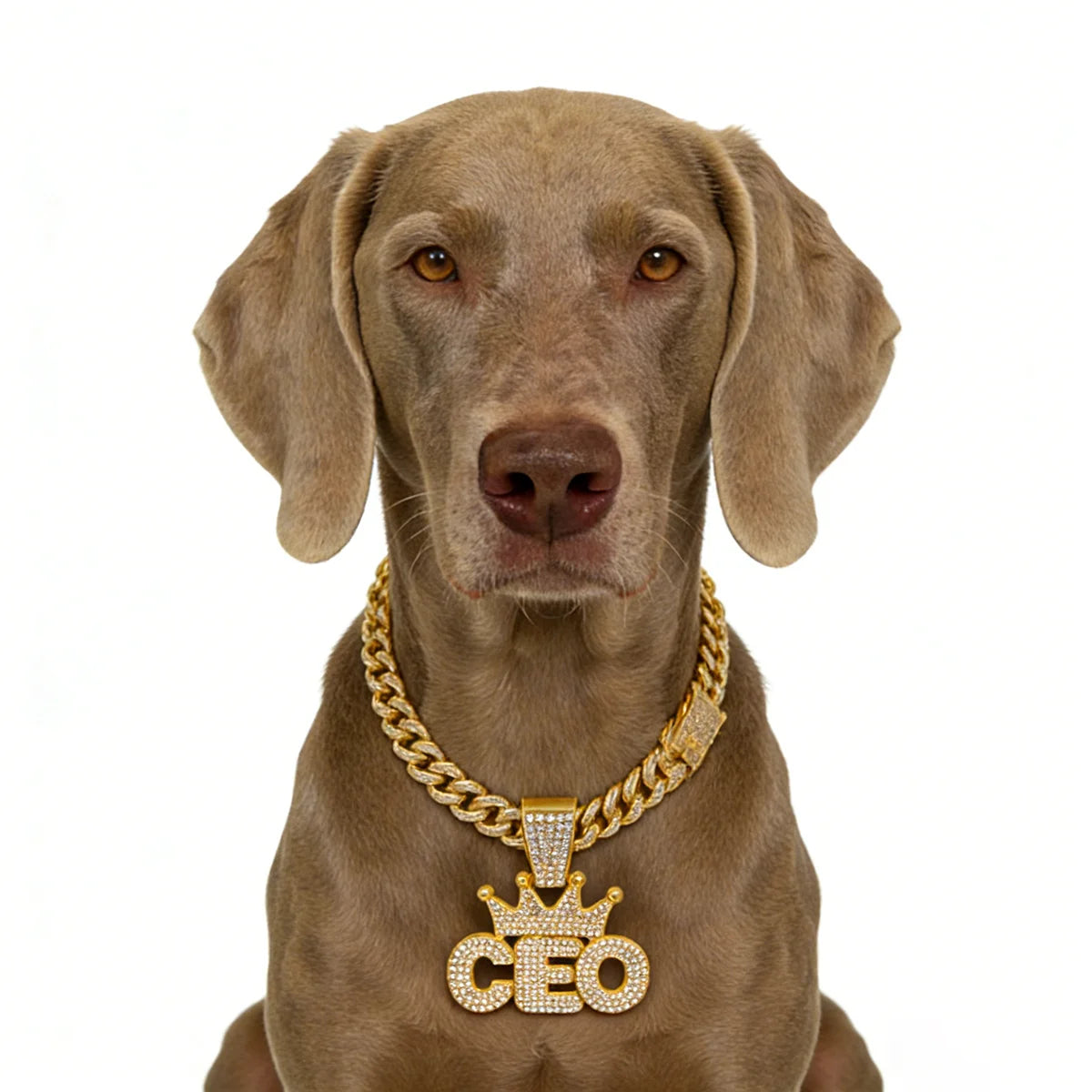 Cuban Dog Chain, Alloy Pet Dog Collar, Gold Necklace for Small to Large Dogs CEO BOSS Luxury Pendant Jewelry Accessory 2026 NEW