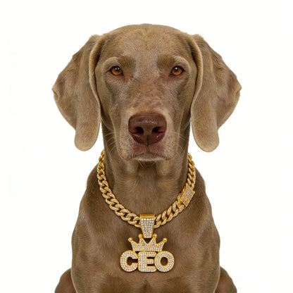 Cuban Dog Chain, Alloy Pet Dog Collar, Gold Necklace for Small to Large Dogs CEO BOSS Luxury Pendant Jewelry Accessory 2026 NEW