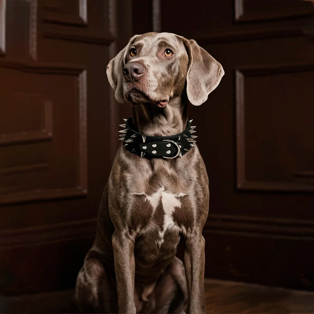 Width 2 Inch Anti-bite Spiked Dog Collars Adjustable PU Leather Necklace Heavy Duty Sharp Rivets Pet Collar Outdoor Dog Walking