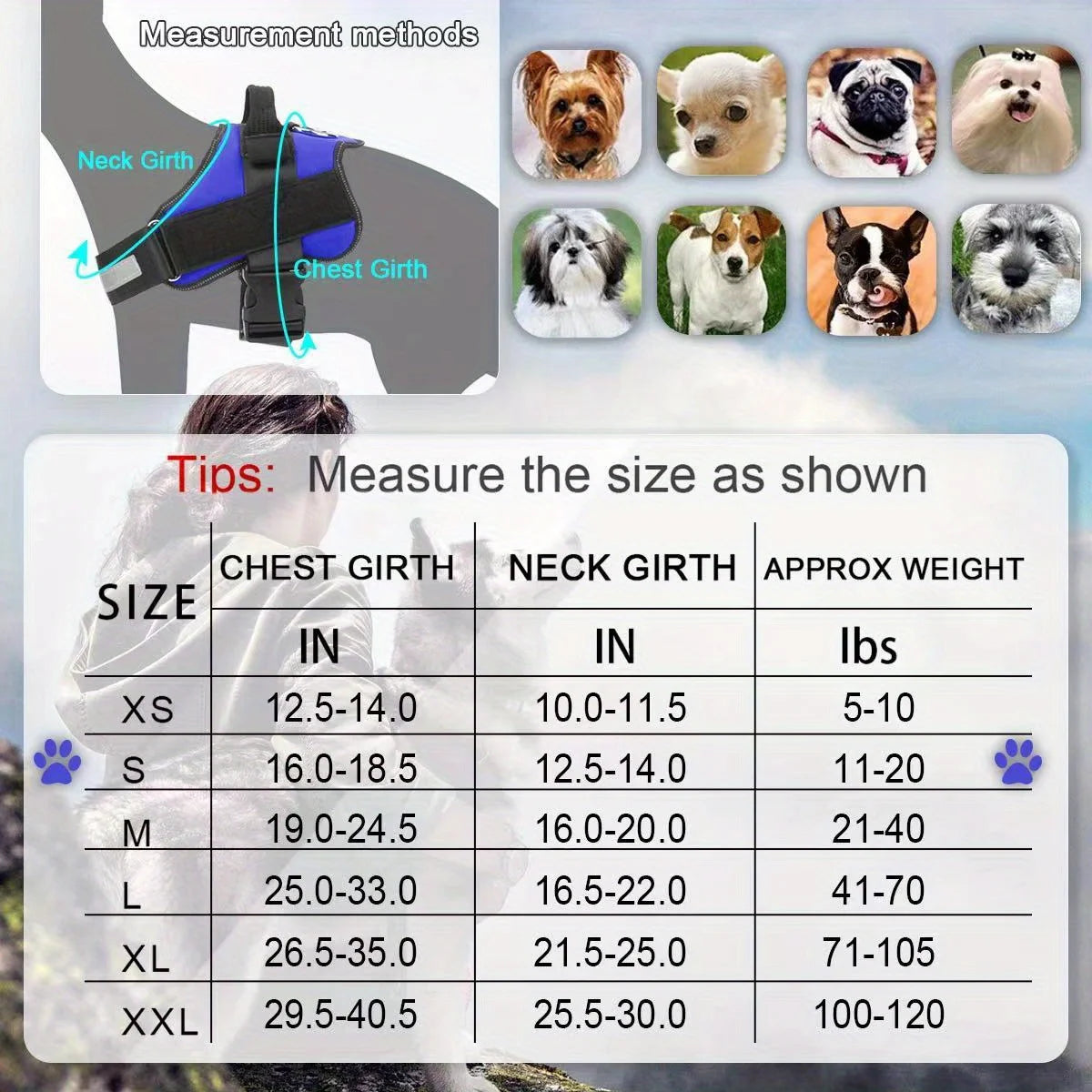 Dog Leash Vest Style Chest Harness Pet Supplies Stretchable Dog Chain Reflective Small Medium Adjustable Dogs Comfortable Secure