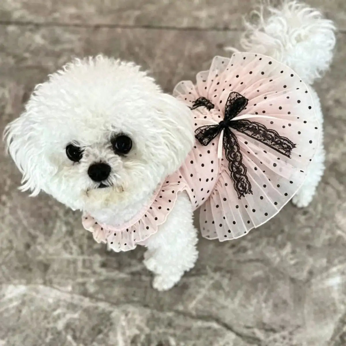 Pink Polka Dot Pet Princess Dress Breathable Sun Protection Sleeveless Tulle Dress with Lace Bow for Small Dogs Cats Pet Clothes