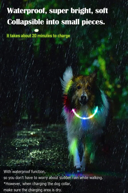 Adjustable USB Rechargeable LED Dog Collar - Multi-Color, 4 Flashing Modes, Cut-To-Fit Design for Nighttime Safety & Visibility