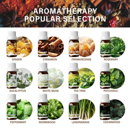 12 Types Natural Plant Essential Oils Premium Grade Essential Oils for Haircare, Nail Care, Moisturizing