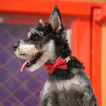 Personalized Dog ID Collar Cute Bowtie Pet Collars Necklace Free Engraving Puppy Cat Buckle Collar For Small Medium Dogs Cats