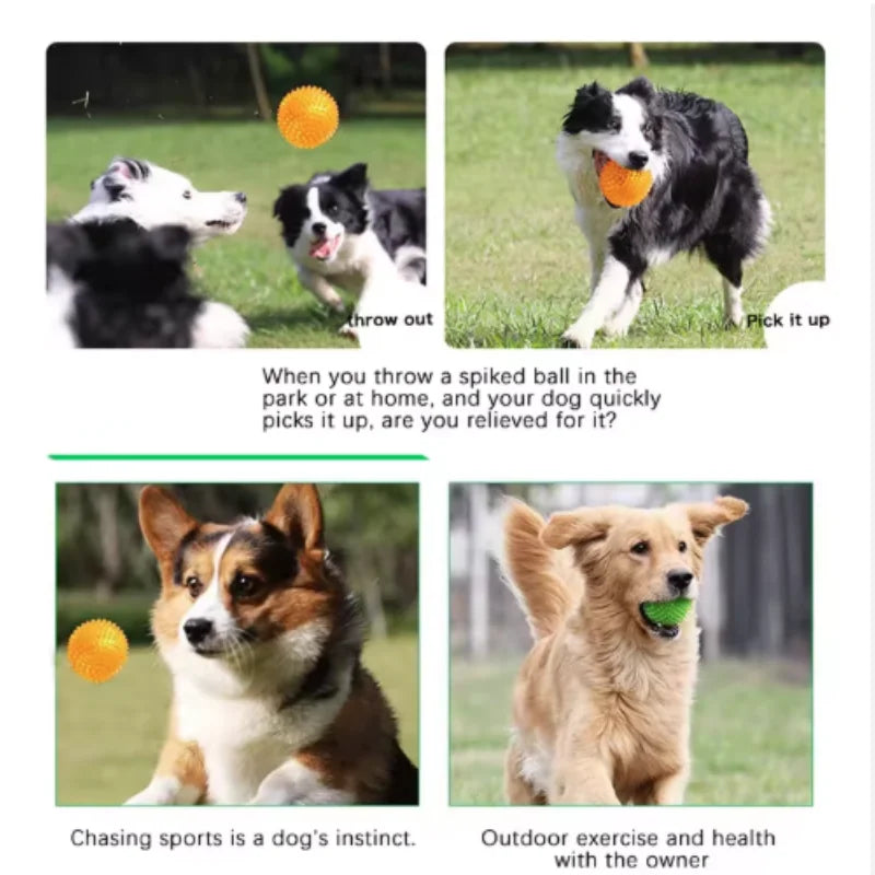 Pet Tooth Cleaning Sounding Chew Ball - Thornless Chewing Toy for Puppy Training Teeth Accessories for Cats And Dogs