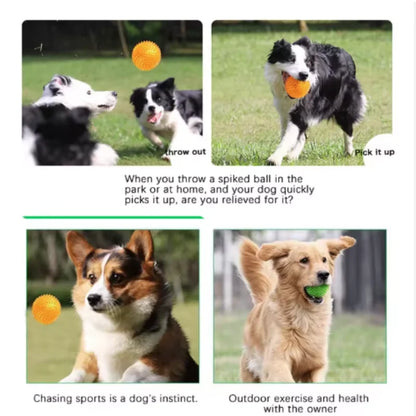 Pet Tooth Cleaning Sounding Chew Ball - Thornless Chewing Toy for Puppy Training Teeth Accessories for Cats And Dogs