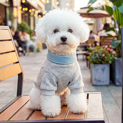 Preppy Bear Pet Sweatshirt, Gray with Denim Collar, Embroidery, D-Ring Included, Pullover Two-Legged Outfit for Small Dogs &Cats