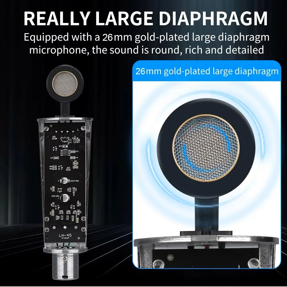 Top Studio Metal Condenser Microphone Professional Cardioid Studio Mic for Recording Podcasting Voice Over Streaming Home