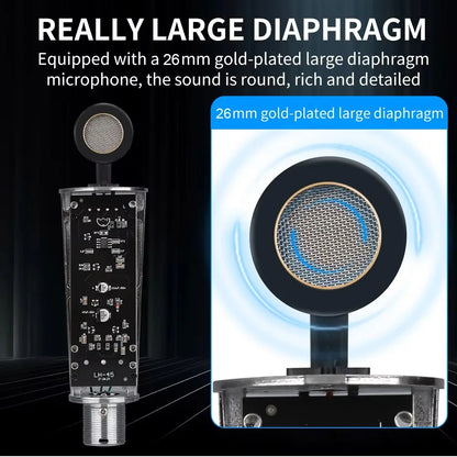 Top Studio Metal Condenser Microphone Professional Cardioid Studio Mic for Recording Podcasting Voice Over Streaming Home