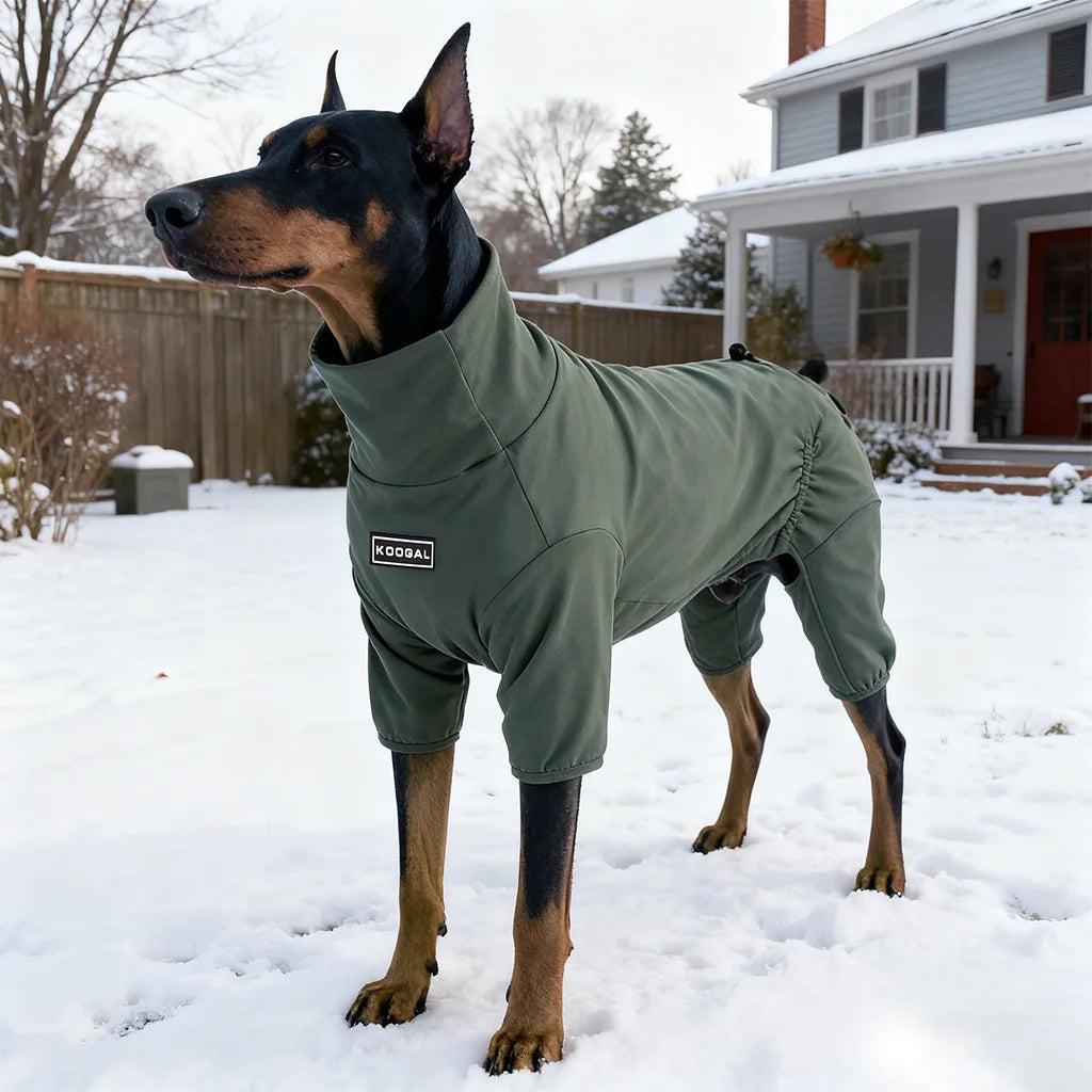 Spring Winter Velvet Four Leg Sweatshirt for Huibit Autumn Warm Green Coat for Bedlington Italy Greyhound Coffee Green Pajamas