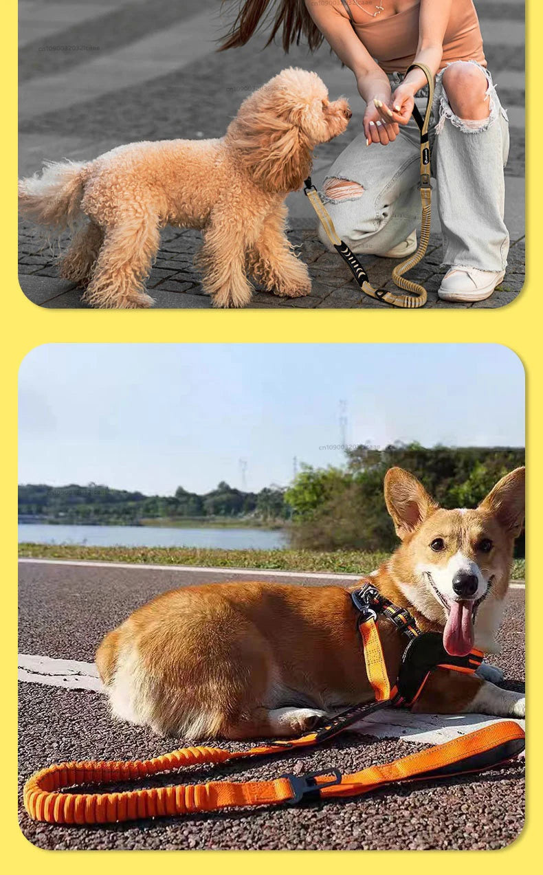 Reflective Shock Absorbing Dog Leashes with Car Seatbelt for Large Dogs Heavy Duty Tactical Bungee Dog Leash No Pull Dog Leash