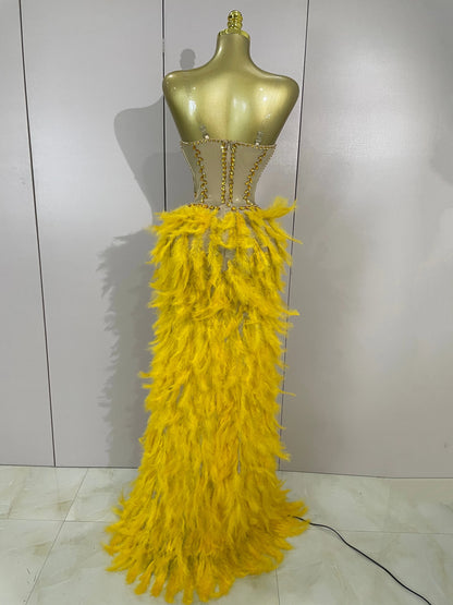 Sparkly Rhinestones Feathers Long Tail Bodysuits Sexy Mesh Transparent Stage Dress Evening Party Celebrate Luxury Birthday Dress