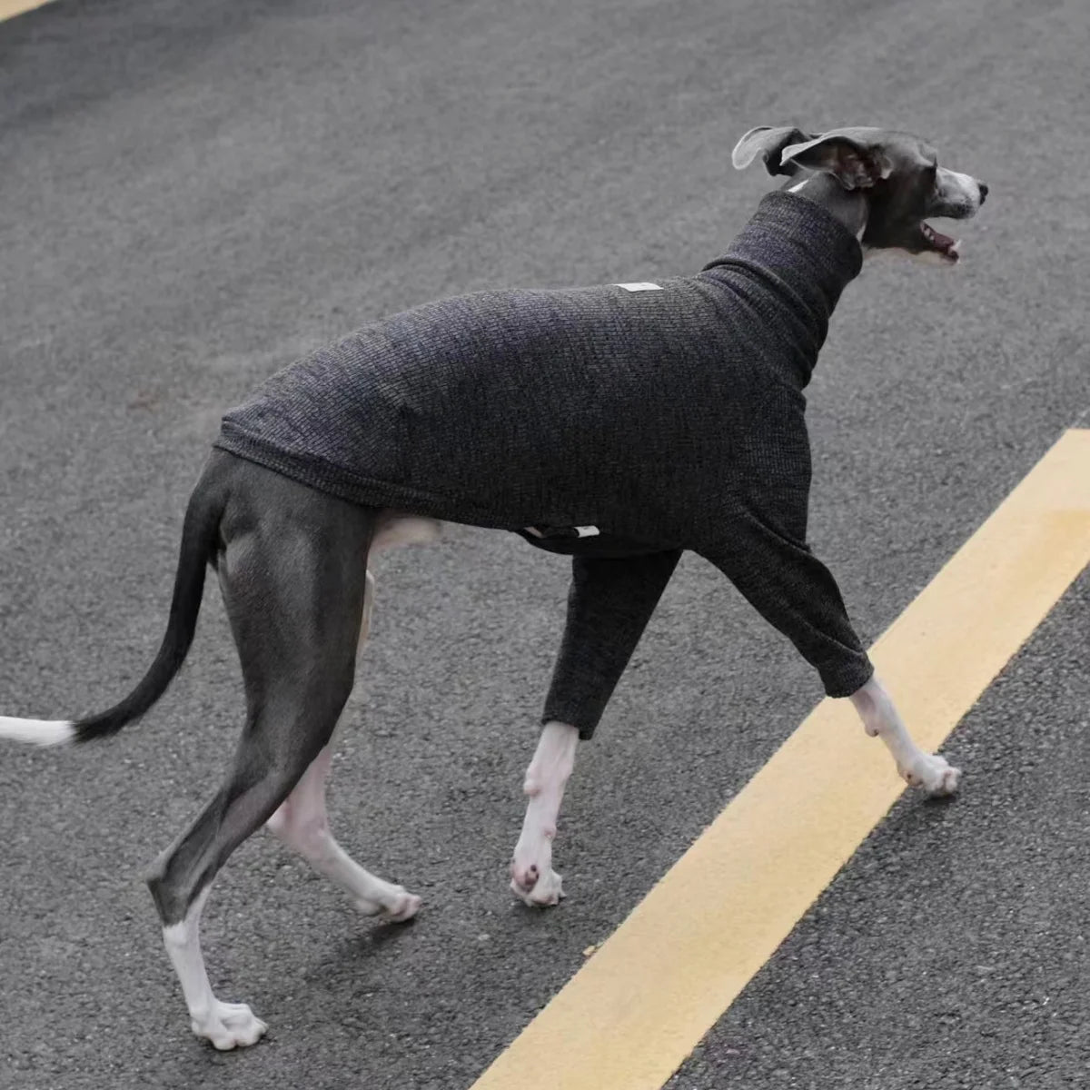 Spring Clothing for Italy Greyhound  Autumn Soft High-Neck Cotton Grey T-shirt for Whippet Winter Long Sleeved Pajamas for Dogs