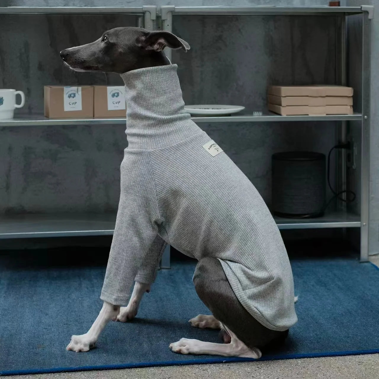 Spring Clothing for Italy Greyhound  Autumn Soft High-Neck Cotton Grey T-shirt for Whippet Winter Long Sleeved Pajamas for Dogs