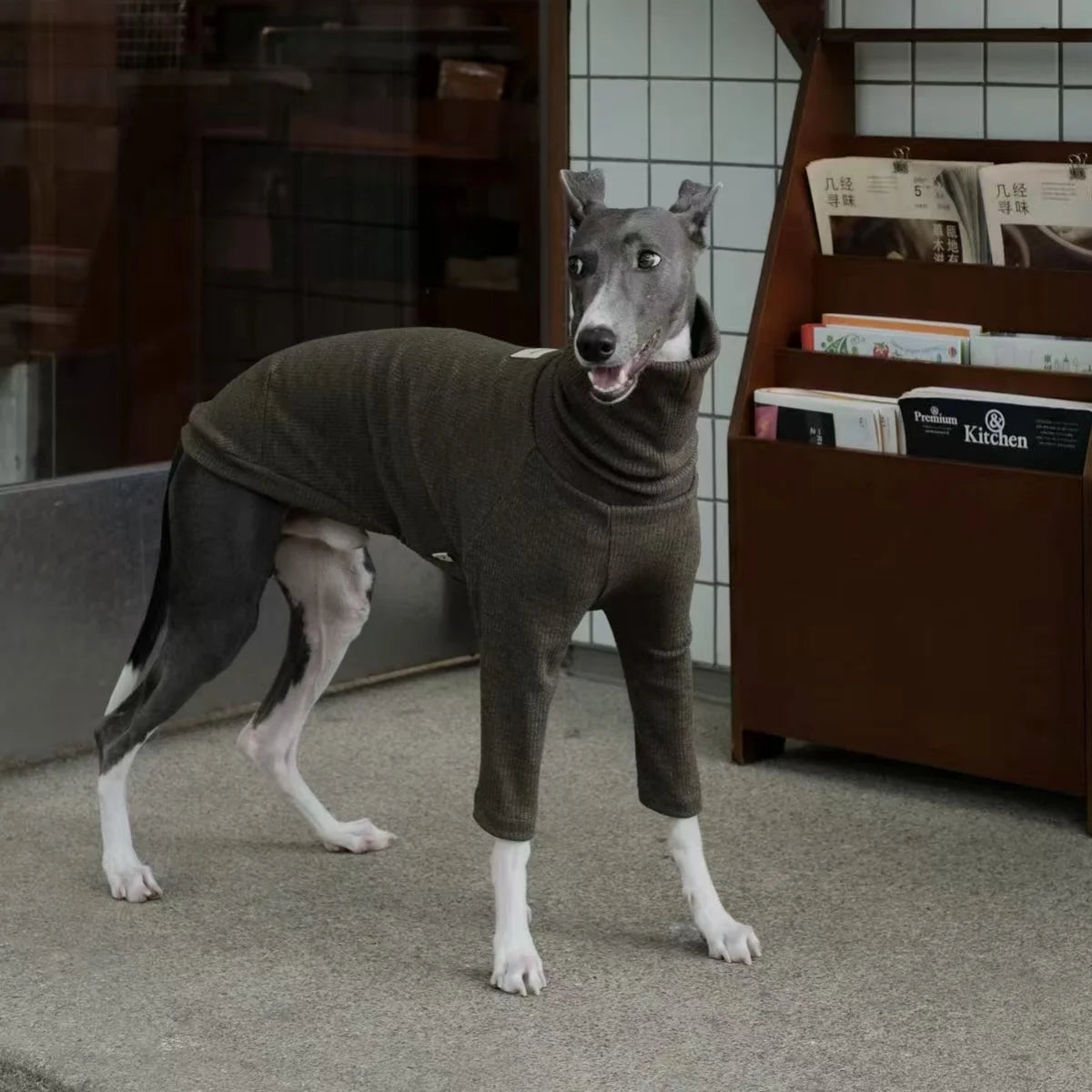 Spring Clothing for Italy Greyhound  Autumn Soft High-Neck Cotton Grey T-shirt for Whippet Winter Long Sleeved Pajamas for Dogs