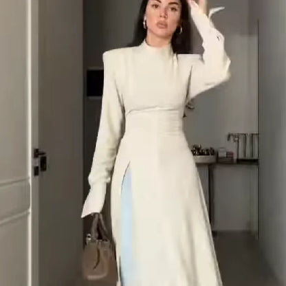 Women's Casual High Neck Long Sleeve Maxi Dress Elegant Waist Slimming Slit Hem Unique Wear Chic Lady Formal Work Meeting Outfit