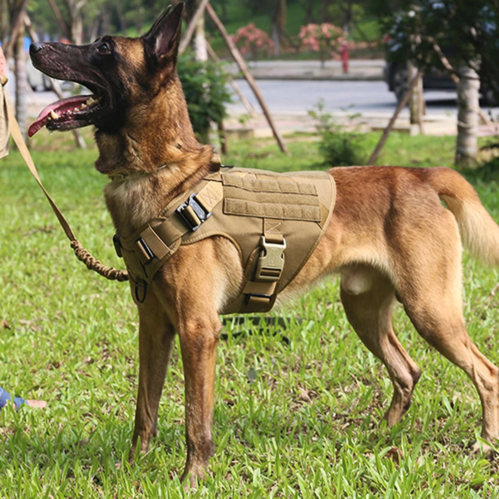 Dog Harness for Large Dogs Leash Collar Molle Pouch Military Harnesses French Bulldog Pet Tactical Training Vest Dog Accessories