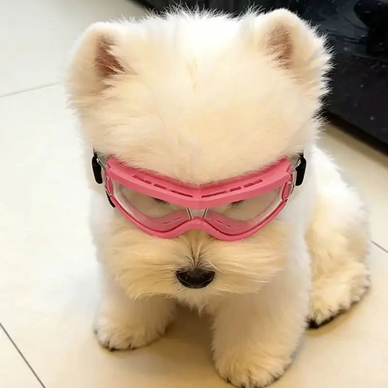 These Pet Dog Sunglasses Can Block Ultraviolet Rays, and the Dog Goggles Are Windproof and Dustproof.