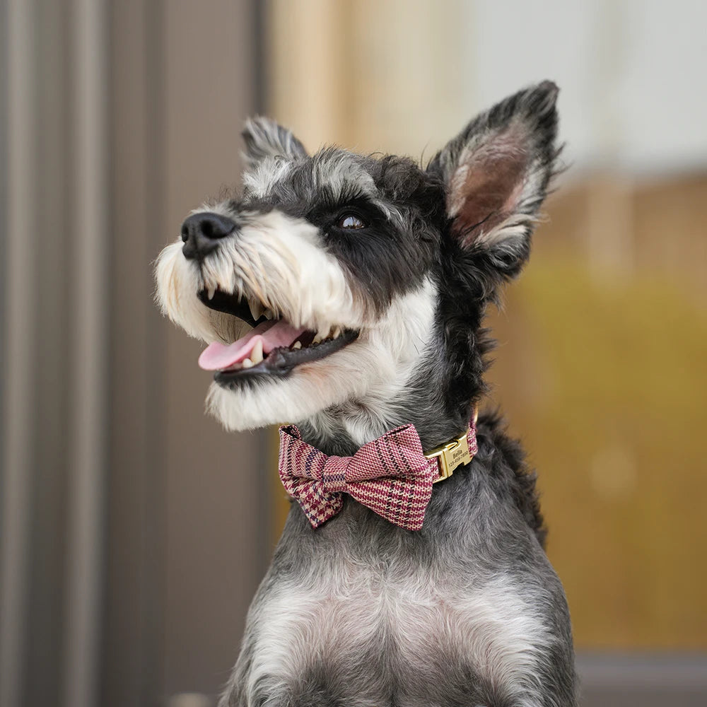 Personalized Dog ID Collar Cute Bowtie Pet Collars Necklace Free Engraving Puppy Cat Buckle Collar For Small Medium Dogs Cats