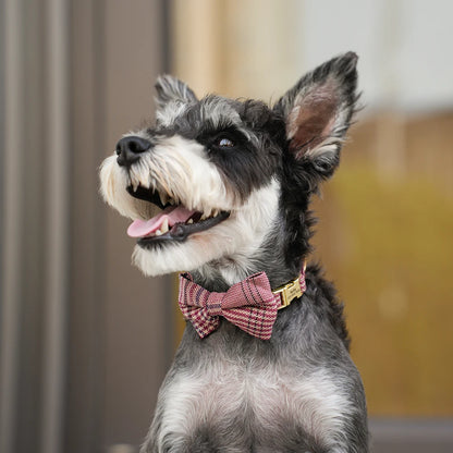 Personalized Dog ID Collar Cute Bowtie Pet Collars Necklace Free Engraving Puppy Cat Buckle Collar For Small Medium Dogs Cats