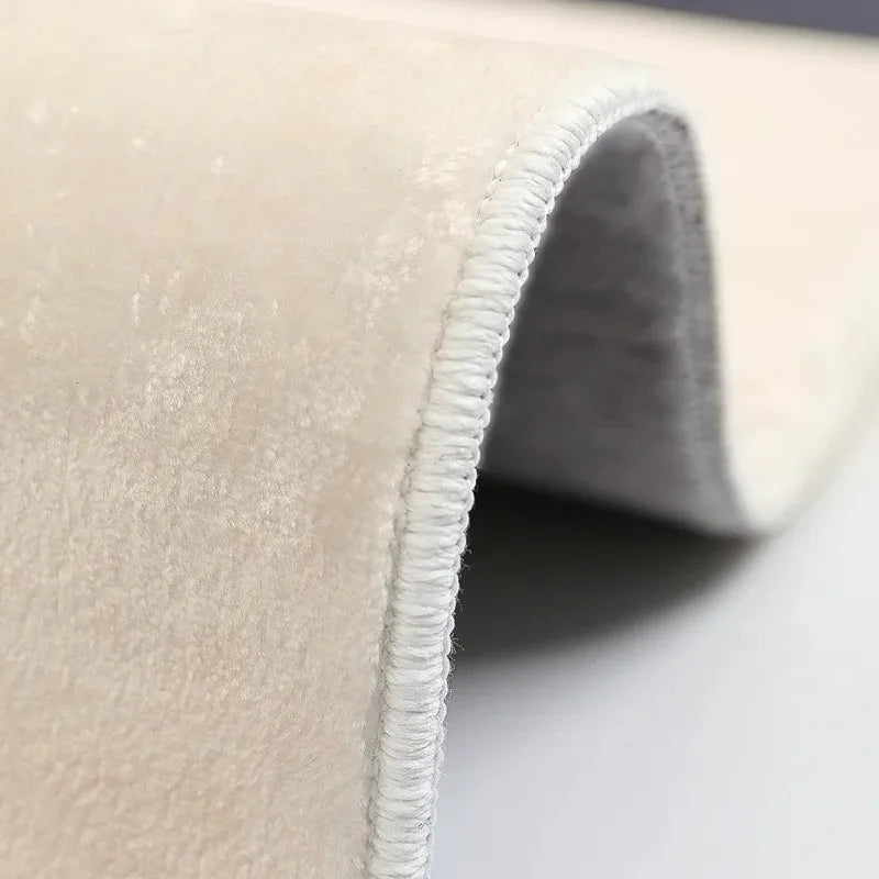 Large Area Living Room Decoration Washable Carpet Light Luxury Rugs for Bedroom Thick Plush Study Floor Mat Home Fluffy Soft Rug