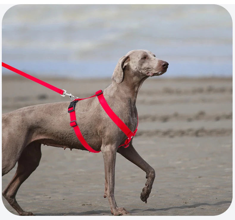 Adjustable Soft Lightweight H-shaped Dog Harness Washable Outdoor Traveling Explosion-proof Harness for Dog Arnés Para Perro