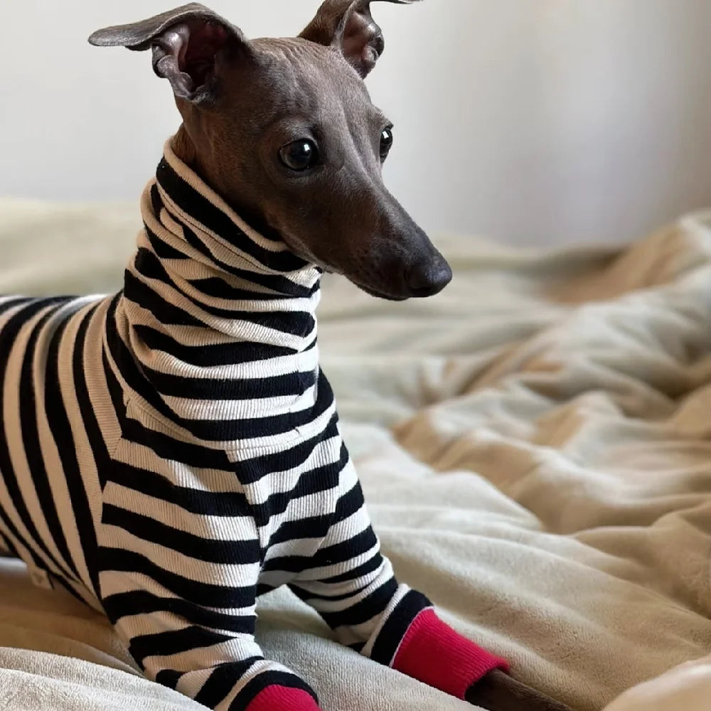 4-legged Cotton Coat for Dog Greyhounds Loungewear Spring Autumn Whippet Dog Black Striped Sweatshirt Bellington High-Neck Shirt
