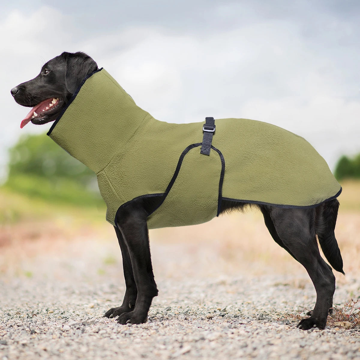 Generic Dog Winter Coat for Whippet, Greyhound Cosy Fleece Jumper, Jacket Lurcher and Clothe with Warm Lining, Adjustable Band M