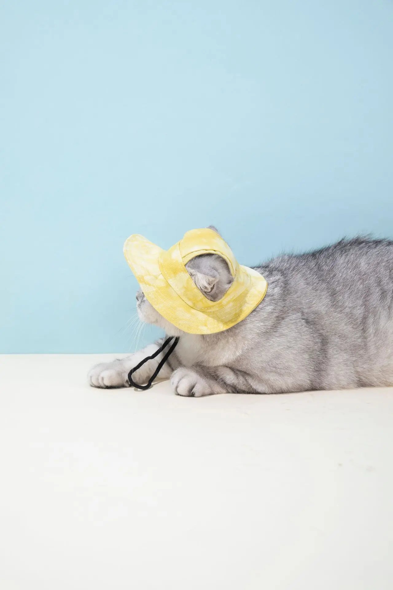 Pets Hat with Ear Holes Adjustable Baseball Cap for Medium Small Dogs Summer Dye Cats Sun Cap Pet Outdoor Hat Pet Supplies