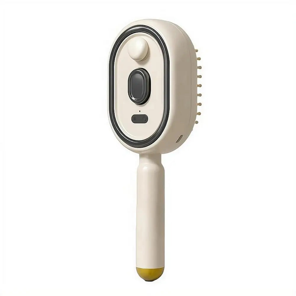New Electric Hair Care Spray Massage Comb Self Cleaning Steam Essential Oil Brush Hair Oil Applicator Scalp Massager For Women