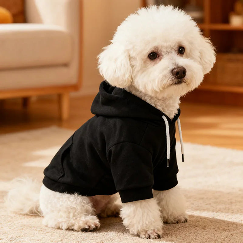 Autumn and Spring Pet Clothes Cute Little Medium Dog Hoodie Clothes Fashion Soft Casual Comfortable Black Cool Apparel Pets Fall