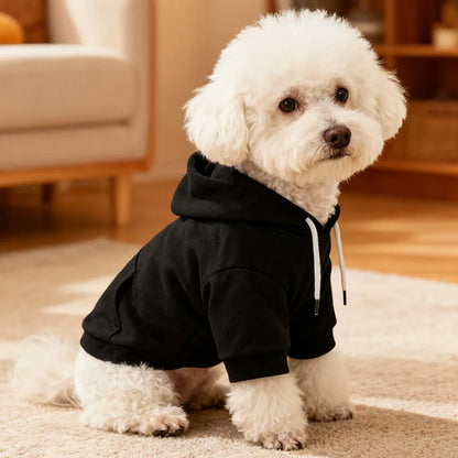 Autumn and Spring Pet Clothes Cute Little Medium Dog Hoodie Clothes Fashion Soft Casual Comfortable Black Cool Apparel Pets Fall